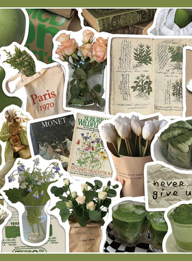 62张绿色小清新ins风贴纸行李箱个性简约笔记本电脑平板防水贴画