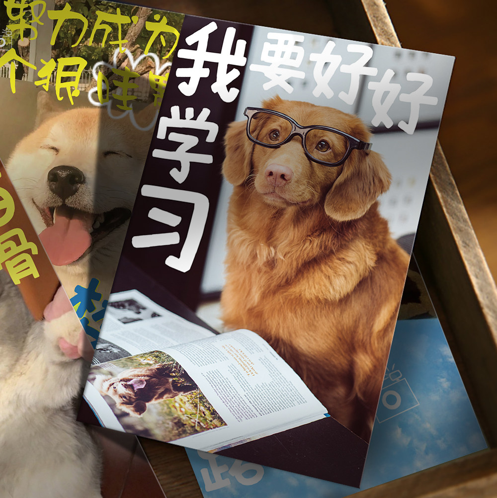 励志文字墙面装饰卡片明信片
