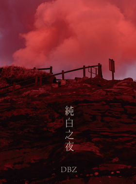 DBZ 大包子 DaBozz 《纯白之夜》3寸迷你黑胶唱片 Jazz Hip-hop