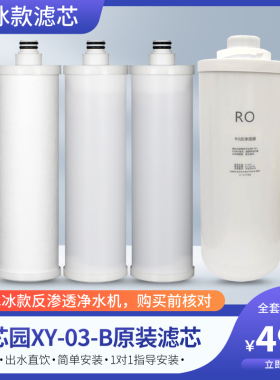 芯园净水器滤芯家用XY-03-B净水机直饮反渗透纯水机500G原装滤芯