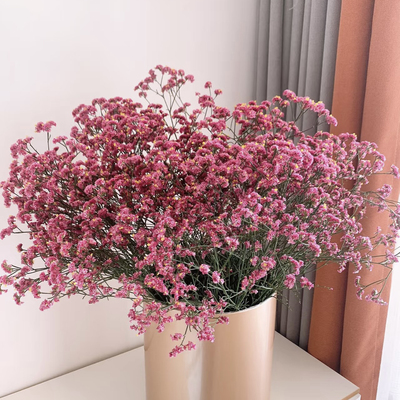 云山花卉优选【水晶草】鲜花不用水养可干花空运包邮