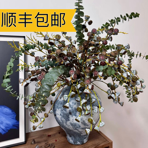 宝石尤加利老果 天然带枝风干花束客厅摆件插花文艺花材