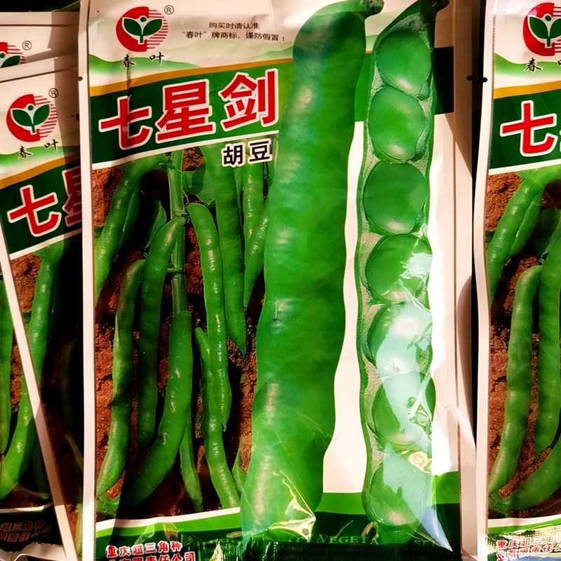 重庆三角超种种子蚕豆业七星剑胡豆种籽罗汉豆种子秋冬季蔬菜种孑