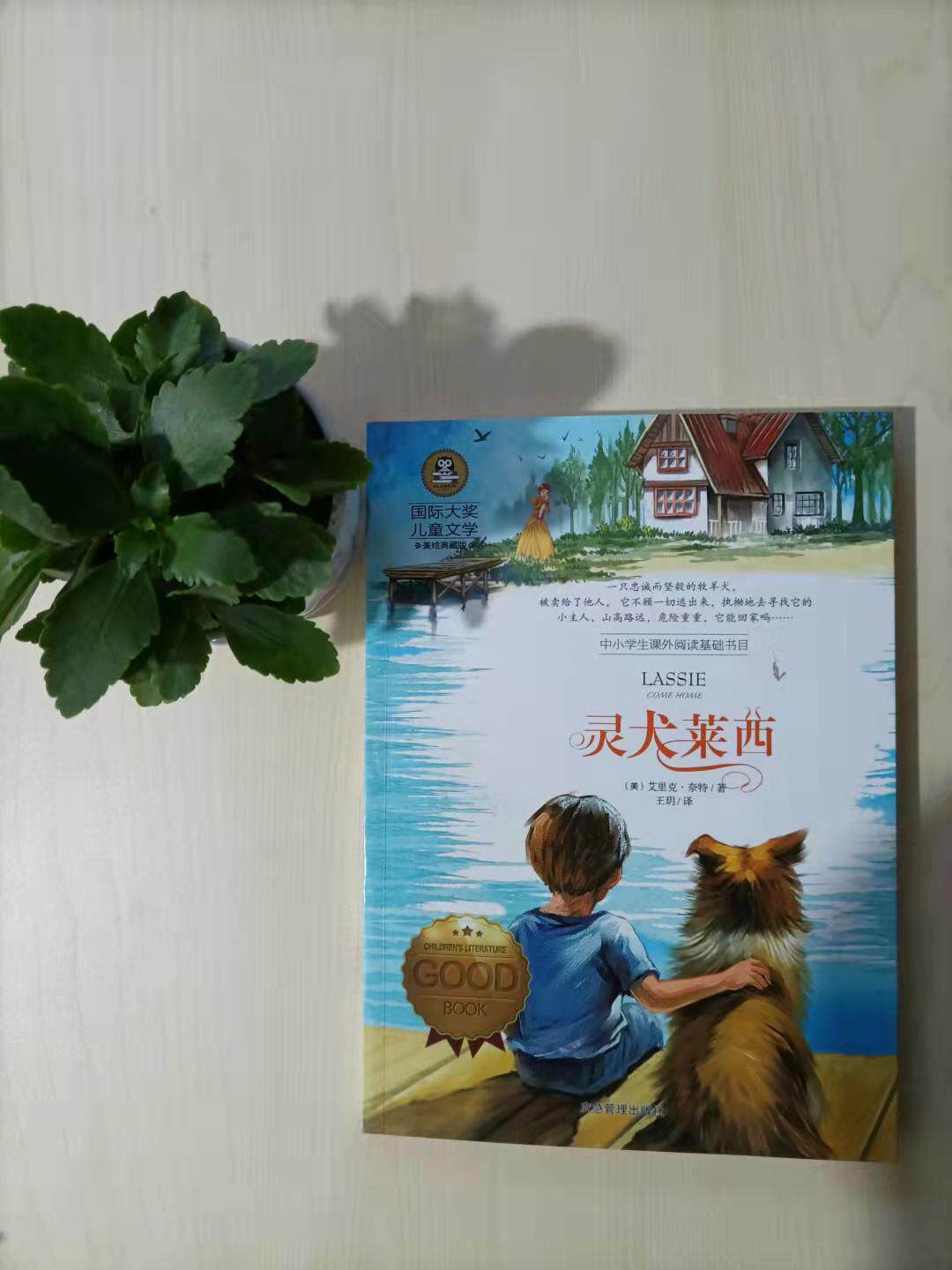 灵犬莱西   国际大赏儿童文学读物 小学生三四五六年级课外阅读书籍