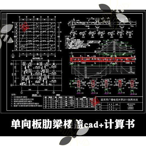 整体式现浇钢筋混凝土单向板肋梁楼盖板配筋图设计CAD图+计算书