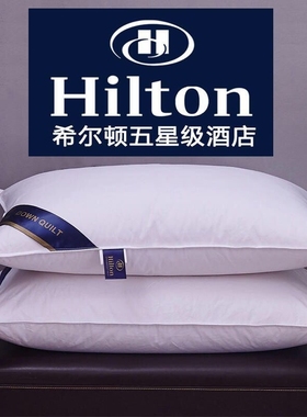 Pillow Healthy pillows feather velvet hotel pillow for bed