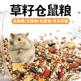 草籽仓鼠粮可食用猫尾草仓鼠荷兰猪龙猫优质多年生牧草种子孑
