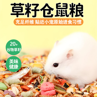 草籽仓鼠粮兔子豚鼠荷兰猪龙猫草籽四季多年生牧草种子猫尾草种籽