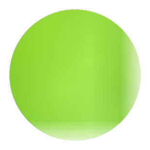 佛甲草种子佛甲草草籽 草坪种子楼顶屋顶绿化 耐热耐寒耐旱包成活