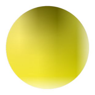 特级黄菊花种子食用泡茶贡菊庭院金丝皇菊野生杭白菊野菊花种子