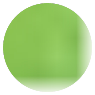 进口大叶苜蓿种子紫花木须牛羊饲料食用芽苗菜木须菜秋播牧草