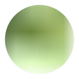 大叶油草草籽护坡固草皮大叶油草种子草坪草籽四季常青矮生地毯草