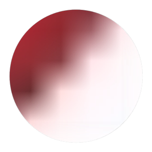 大型荷花种子 高产湘莲种子观赏荷花籽 池塘专用莲藕种 开口莲子