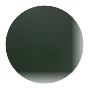 新型特高产巨菌草种子多年生高产牧草种子甜象草皇竹草种子包邮