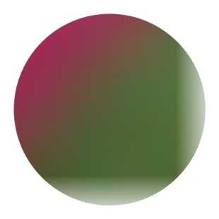 花烟草多年生宿根花卉种子四季播种庭院花海景观耐寒开花植物种籽