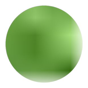 绿肥白三叶草籽草种车轴草种子护坡固氮多年生花草耐荫低矮植物