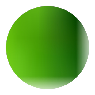 菜种春天种的小茴香种籽孑面条菜食用紫苏苋菜籽各种野菜香菜种子