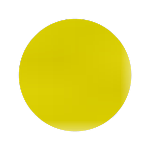 南美蟛蜞菊种子黄花墨菜黄花龙舌草野菊花田黄菊野生蟛蜞菊种子