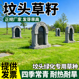 坟头草籽多年生坟头草籽坟头绿化草籽响铃草籽长镰草籽坟地清明