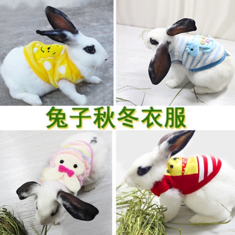 兔子衣服宠物幼兔穿的衣服侏儒垂耳兔兔用品小型迷你可爱秋冬薄款