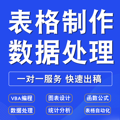 专业帮忙做excel表格制作数据透视wps图表处理函数公式VBA宏代做
