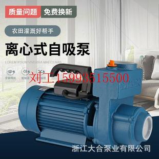增压泵加压抽水泵高压离心泵 zdk大流量自吸泵家用清水泵单相卧式