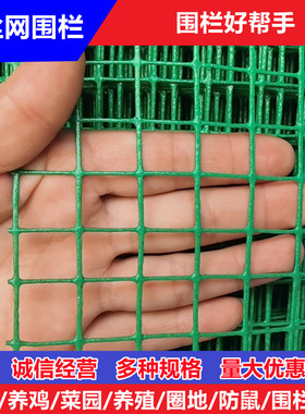 小网格铁丝网防护网养鸡围栏塑料铁网格网养殖防鼠阳台防护专用网
