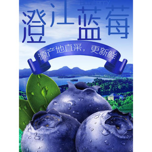 (蓝莓王24mm+)限量正宗云南澄江抚仙湖脆甜可口 现摘现发顺丰