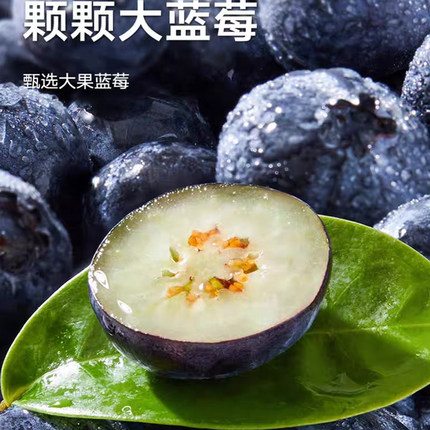 （脆甜花香蓝莓）活动款云南露天种植现采孕妈妈顺丰包邮空运