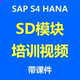 SAP 培训学习视频录播件共2套课程全业务流程送资料 HANA