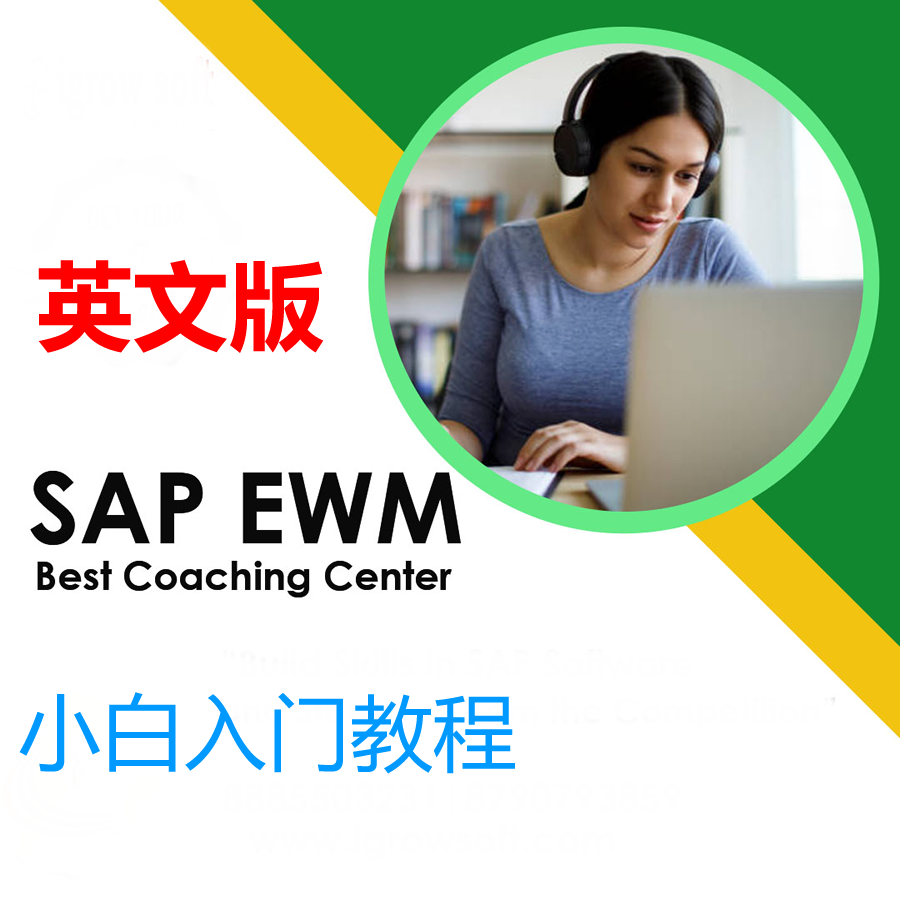 SAP EWM 小白入门教程 英语版 单个PDF 图文并茂 初学者 初级顾问