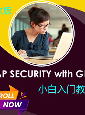 SAP GRC 小白入门教程 英语版 单个PDF 图文并茂 初学者 初级顾问