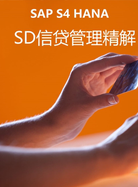 SAP S4 HANA SD信贷管理 后台配置 前台操作 精讲 62页PDF