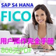 FICO完全用户操作手册 HANA 808页 PDF 图文并茂 SAP 前台业务