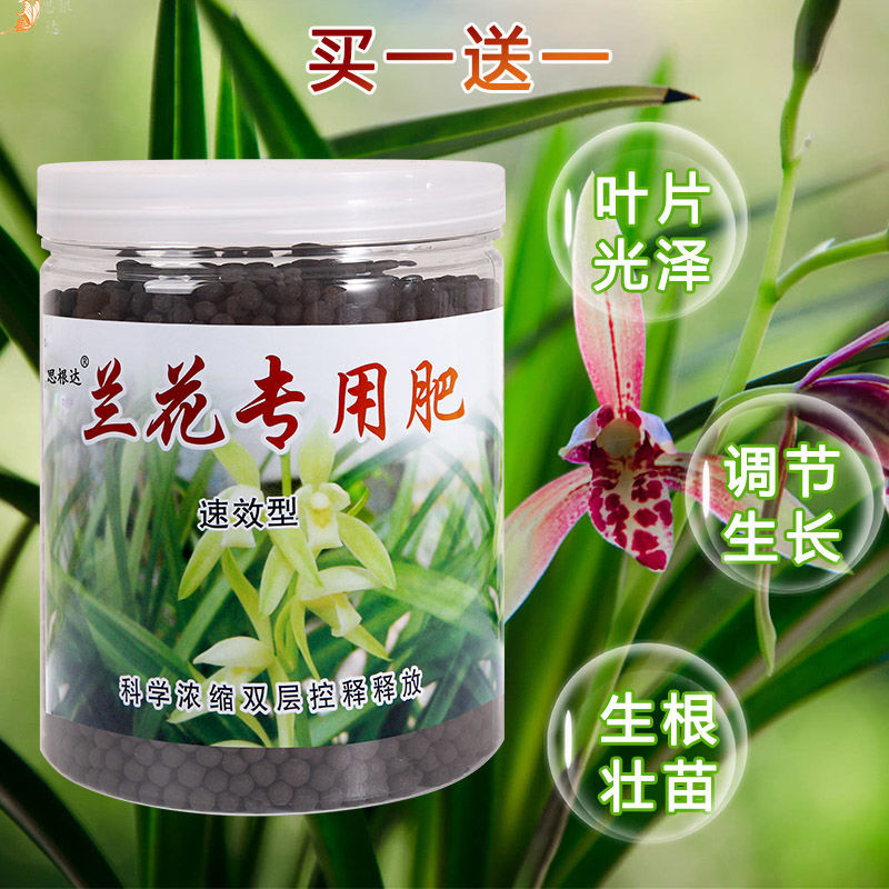 养花促催花兰花肥料专用肥思根达