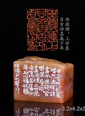 画凌烟上甘泉自古功名属少年 大圣 手工篆刻成品章写意书法书画印