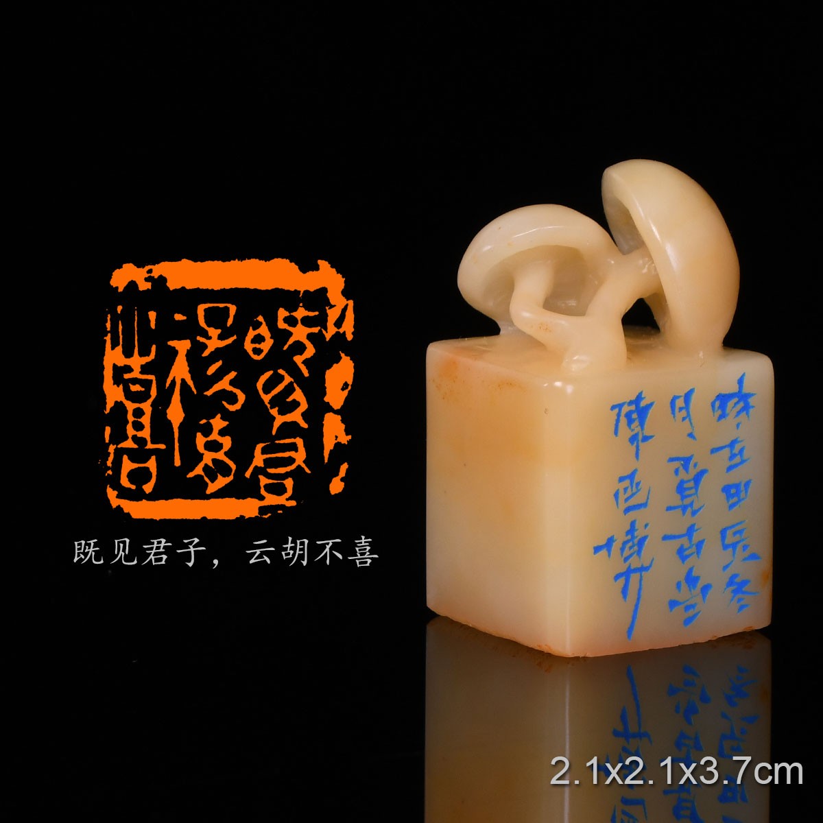 既见君子云胡不喜 风雨先秦佚名 陈连博 手工篆刻成品章书法印章