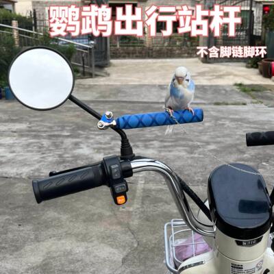虎皮牡丹玄凤鹦鹉车用站架脚炼 炼 外出电动车机车通用版遛鸟神器
