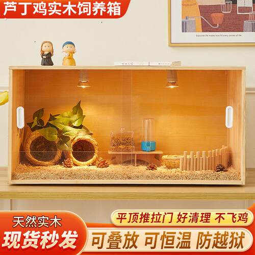 芦丁鸡饲养箱拉门宠物幼鸡育雏恒温鸡窝全套造景卢丁鸡养箱笼子