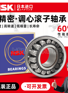 NSK进口调心轴承22205 22206 22207 22208 22209 22210 EAE4 K/C3