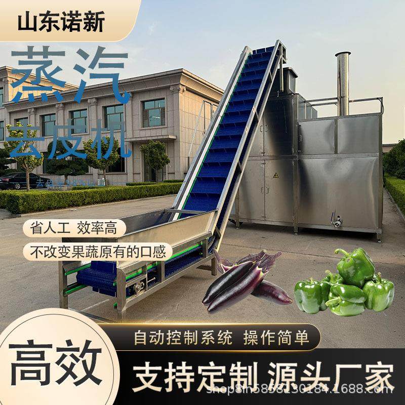 红薯地瓜蒸汽去皮机茄子果蔬批量脱皮设备红枣褪皮机诺新