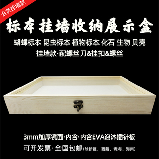 昆虫标本盒插针松木标本框实木玻璃蝴蝶存放盒展示盒含针板可挂墙
