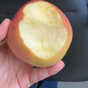 百事激浪苹果 丰县大沙河红富士丑苹果应季新鲜脆甜便宜吃的苹果