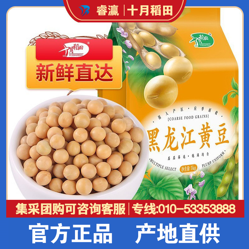 十月稻田黄豆1kg*2袋东北黑龙江大豆五谷杂粮粗粮打豆浆发芽睿灜