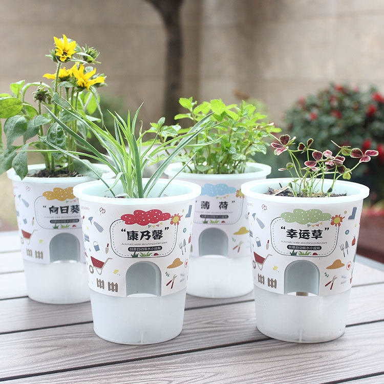 儿童种植小盆栽创意迷你幼儿园花农学生观察植物生长发芽diy礼物