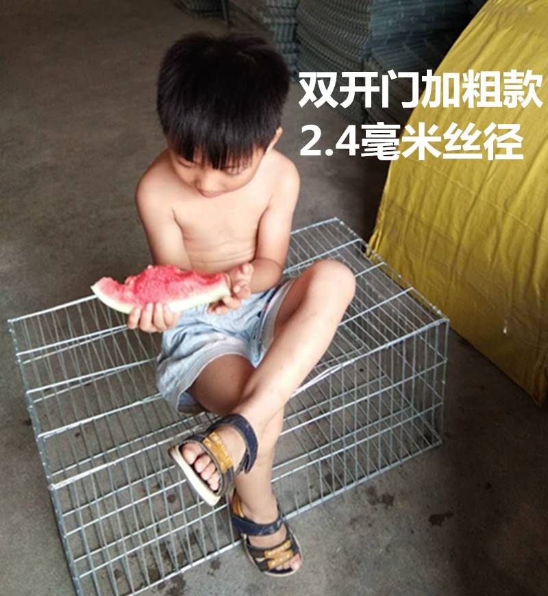 鸡笼 兔笼 养殖笼 鸡笼子 家用大号包邮猫笼狗笼子小中大型狗笼子