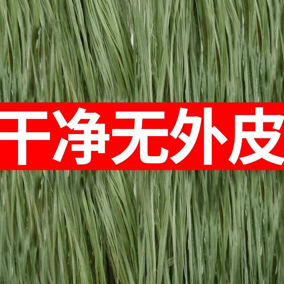 青麻天然苎麻丝水暖麻丝管道密封编织材料麻线孝麻纳鞋底麻绳