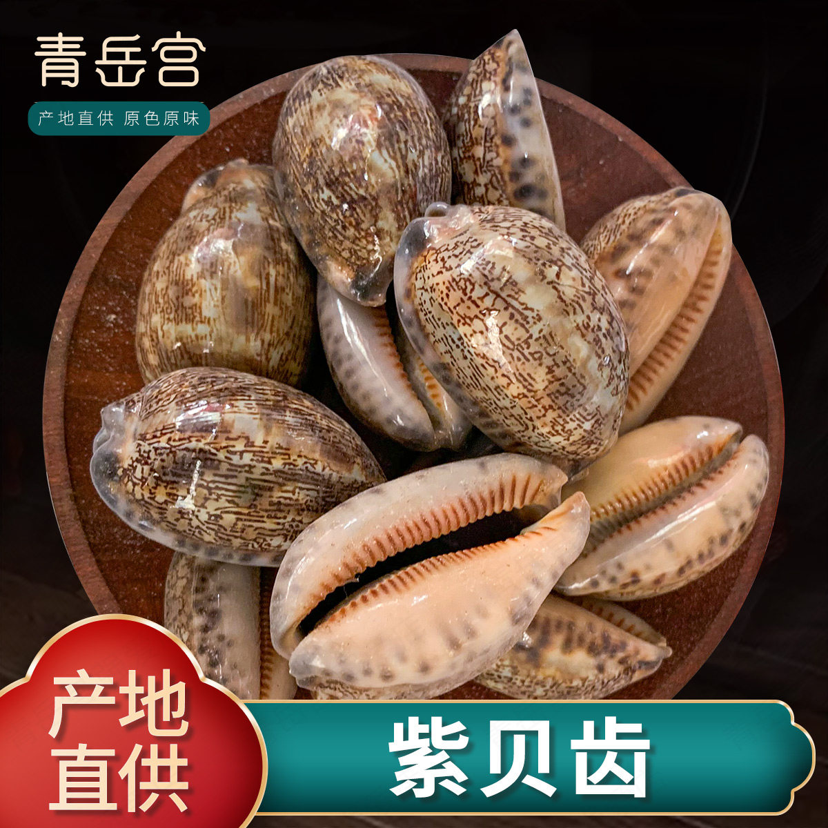 紫贝齿500克中药材纯天然 砑螺 文贝 紫贝齿