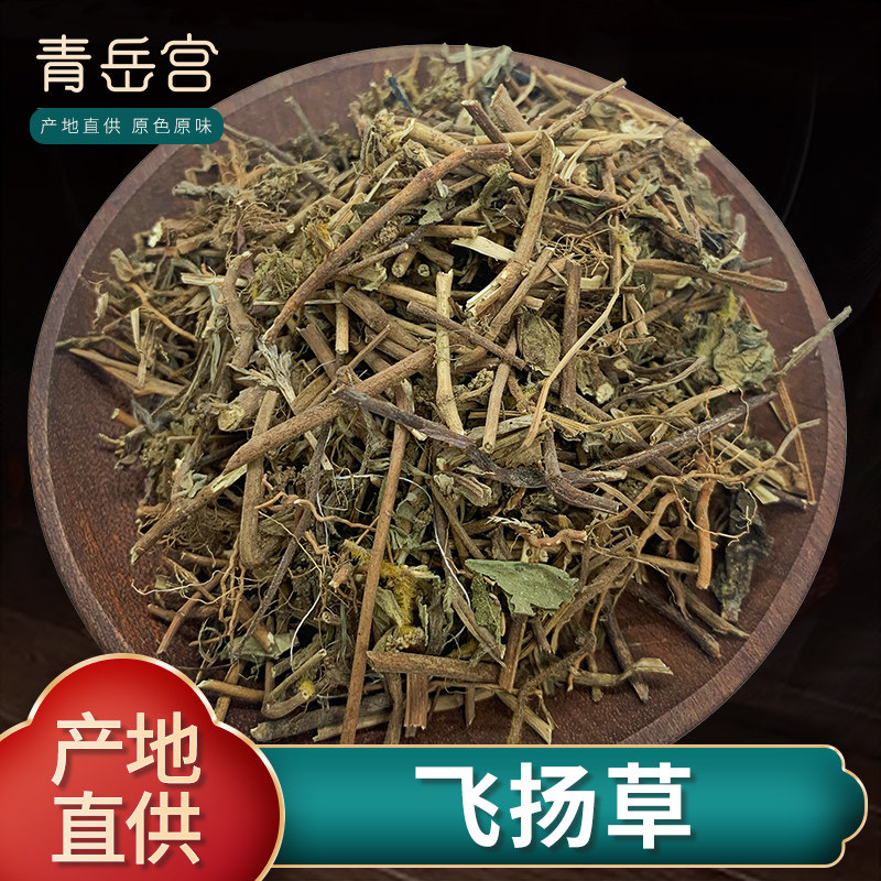 飞扬草中草药大飞扬500克 广西大乳汁草新鲜干货节节花