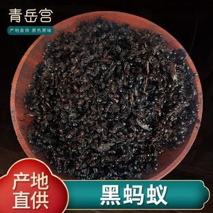 黑蚂蚁500g正品 养生泡酒长白山大黑蚂蚁干野生可打粉
